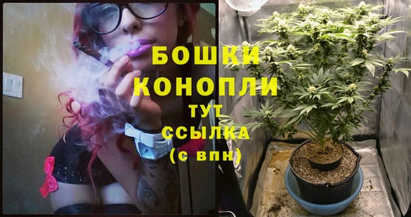 apvp Нея
