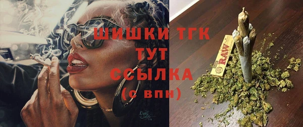 гашик Надым