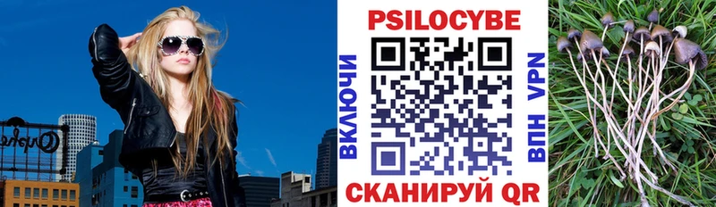 Псилоцибиновые грибы ЛСД  купить наркоту  Ильский 