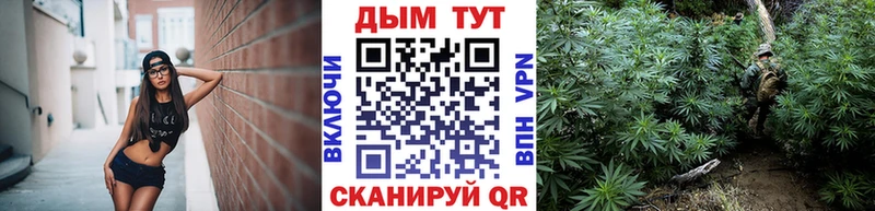 цены   Ильский  Шишки марихуана VHQ 